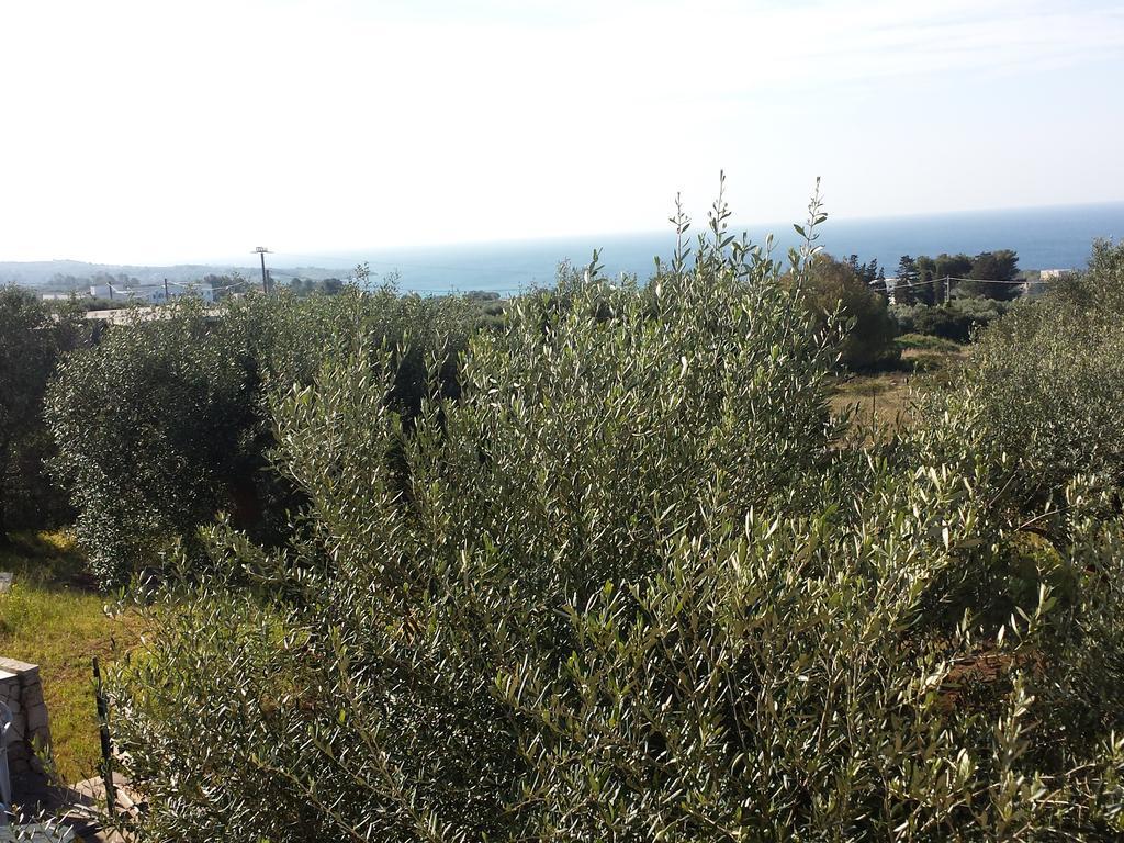 Villa Minteco Patù Exteriör bild