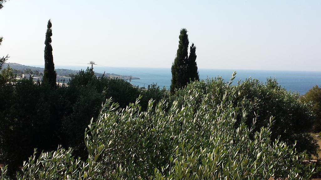 Villa Minteco Patù Rum bild