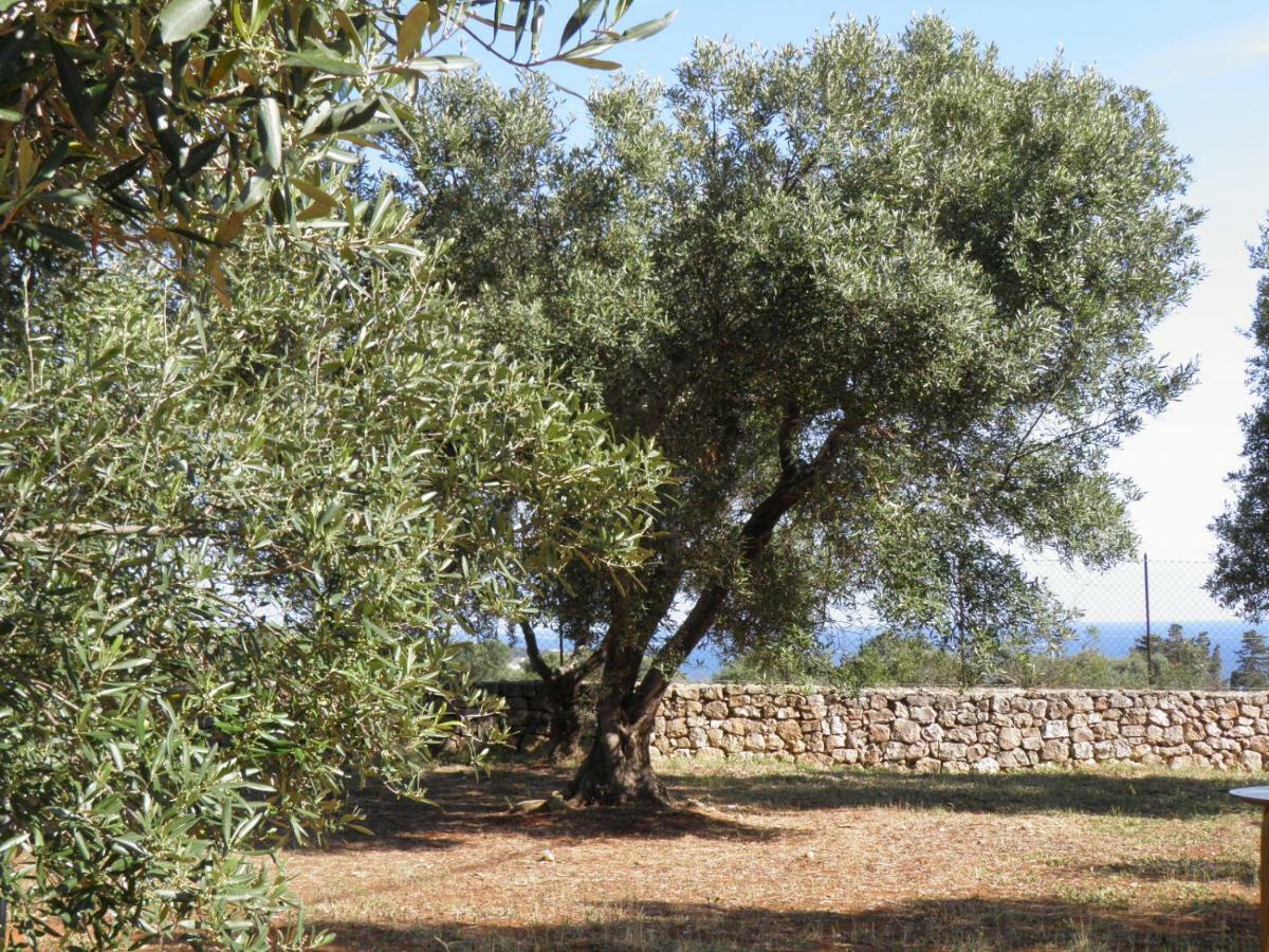 Villa Minteco Patù Exteriör bild